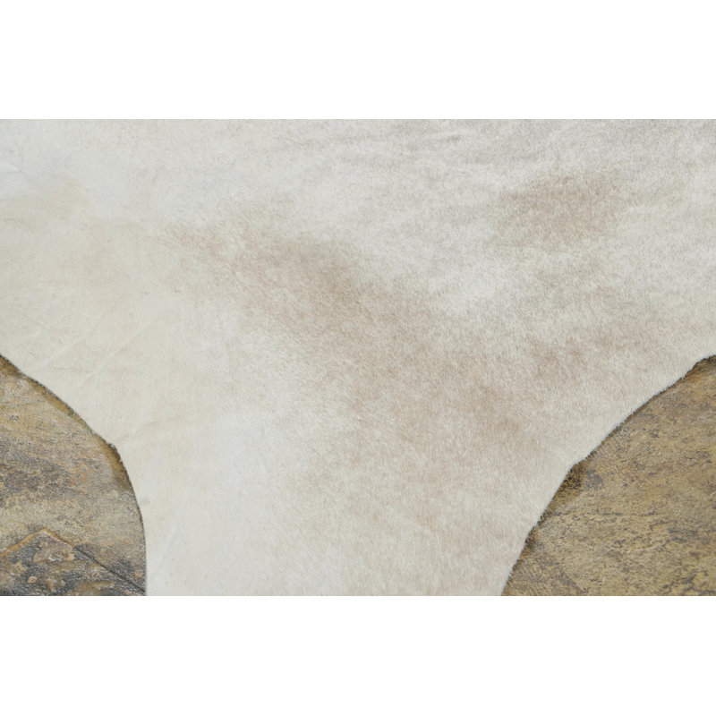 Modern Area Rug