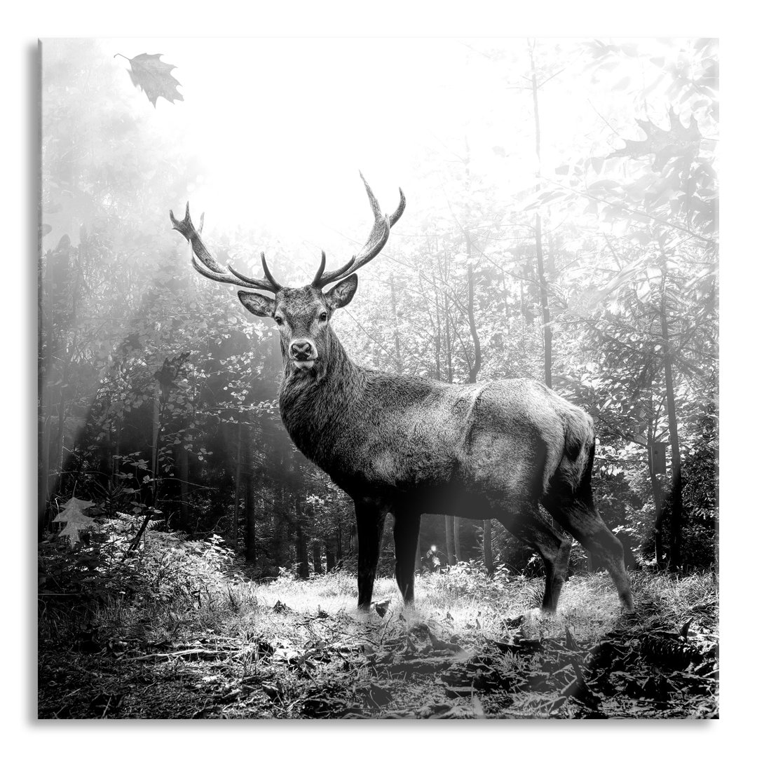 Glasbild Hirsch im Wald mit fallenden Blättern