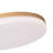 Trotman Acrylic LED Flush Mount