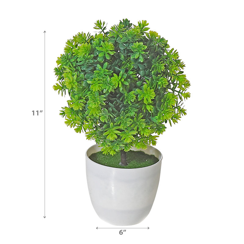 Centre de table topiaire en pot