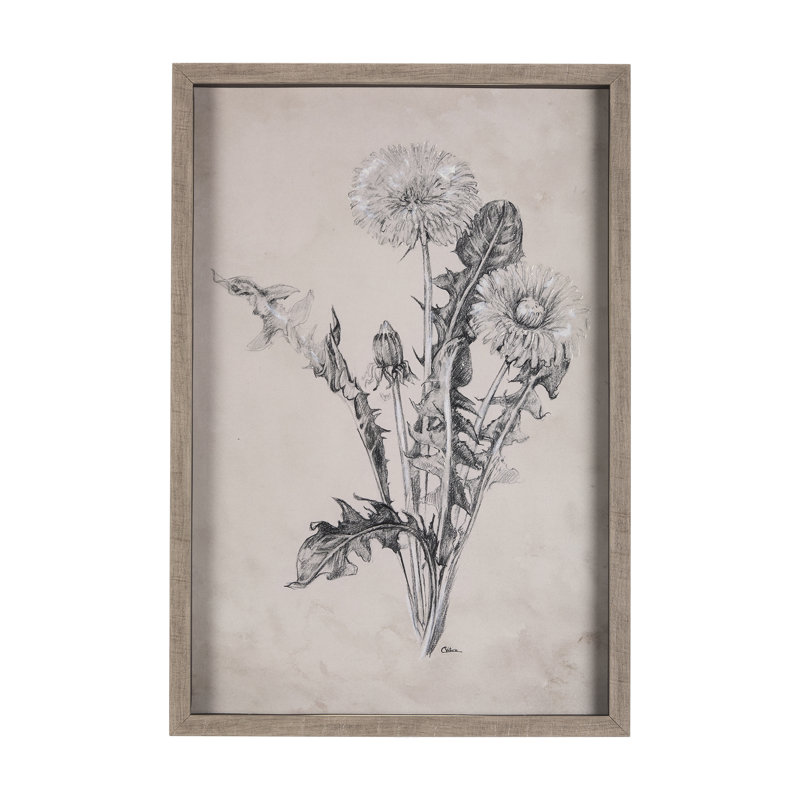 «Camomille dessin I a Hand Hand», reproduction d'art encadrée, 1, H 31,5 po x l 21,5 po, Dessin de pissenlit II