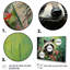 Raton laveur noir et vert I - art mural raton laveur-314454649-314454648