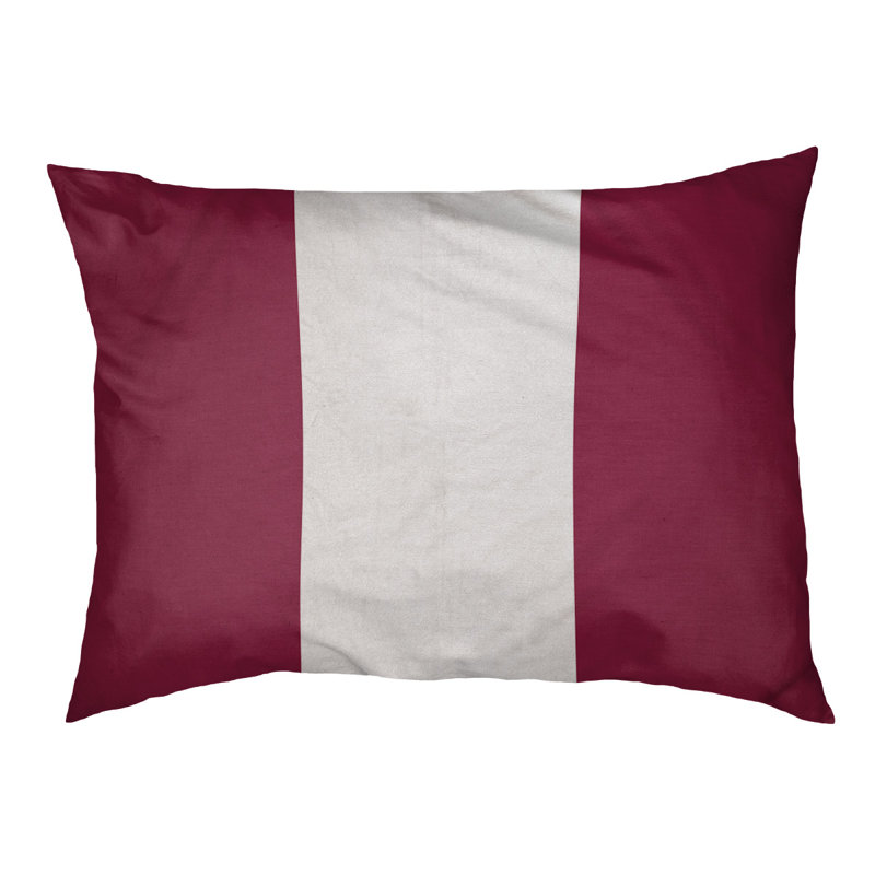 Coussin pour chien Arizona Tempe, Moyen (l 28 po x P 18 po x H 6 po), Marron / blanc / marron