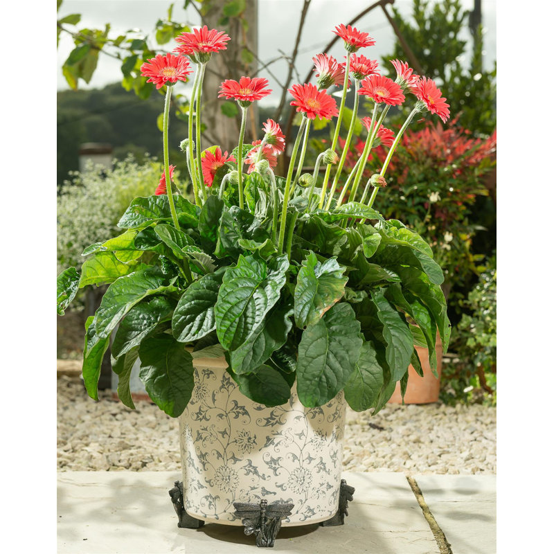Weather Resistant Planter Feet