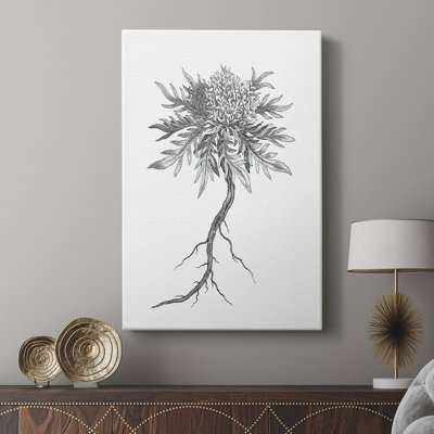 B&W Plant Spechantillon III - galerie sur mesure