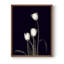 «Tulip Pose III», reproduction encadrée - bois massif-2013194343-2013194329