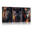 3 Piece Wrapped Canvas Print