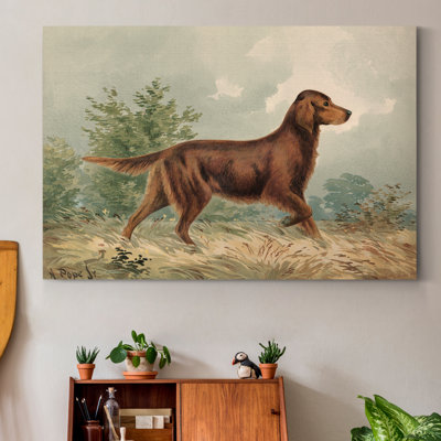 " Irish Setter I "
