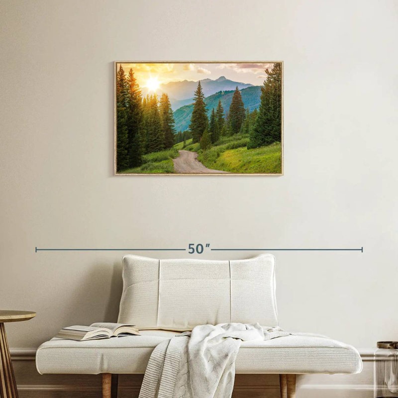 Colorado Pine Forest, Floating Frame Natural Wood, 31" X 21"