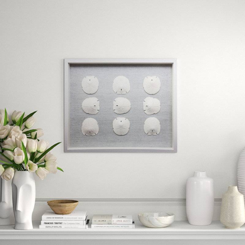Sealife Print