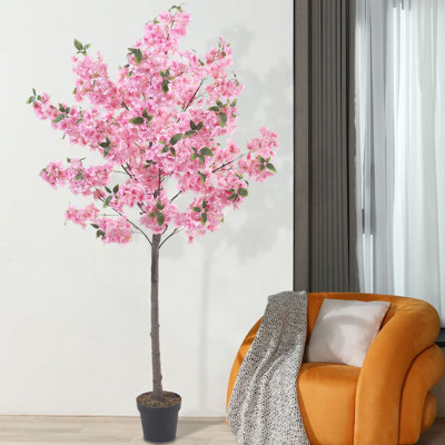 185cm Plant