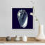 « Indigo shells V » par vision studio-impression-567973474-567973457