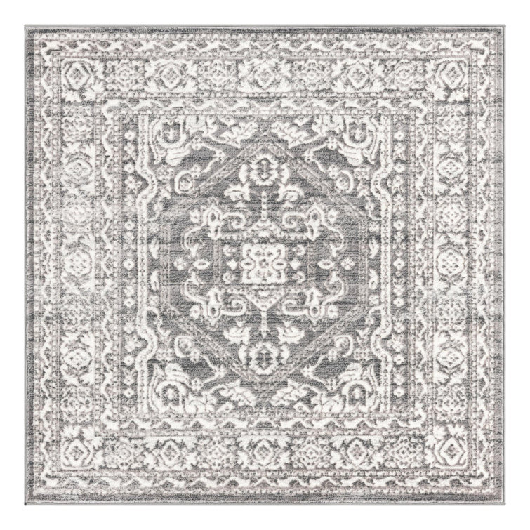 Iconia Oriental Indoor Rug