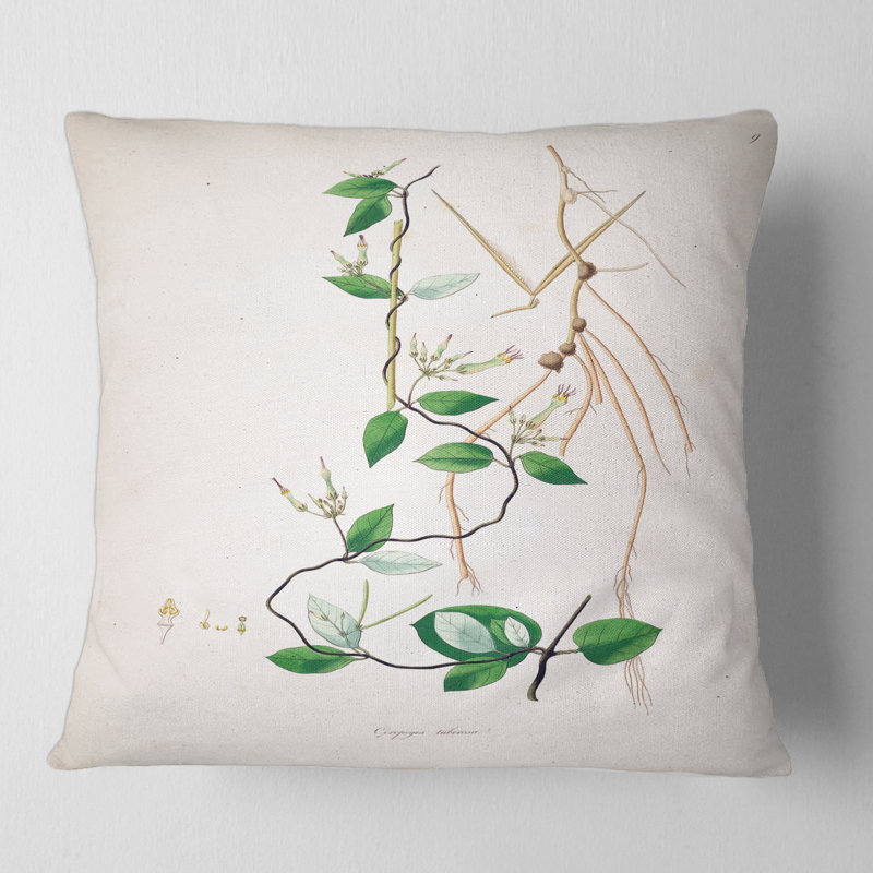 Vintage London Plants IV - Coussin Farmhouse, 16" x 16"