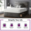 Hayder Upholstered Bed-158158402-158155191-258502069
