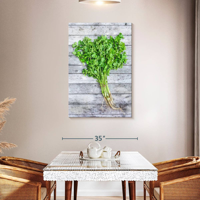 Harnek Cilantro, 45" H x 30" W