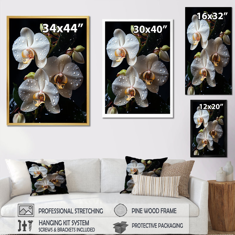 Orchidées blanches pétales d'élégance I, H 32 po x l 24 po x P 1 po, Cadre simple noir