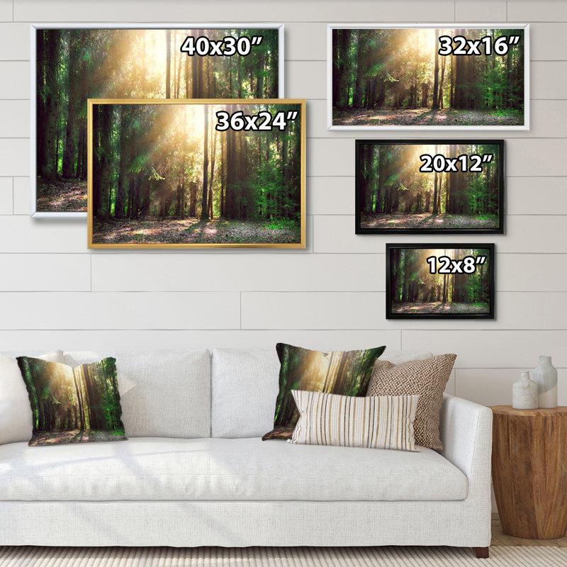 Sun Rays In Misty Old Forest III - reproduction d'art sur toile, H 8 po x l 12 po x P 1 po, Toile avec cadre flottant noir
