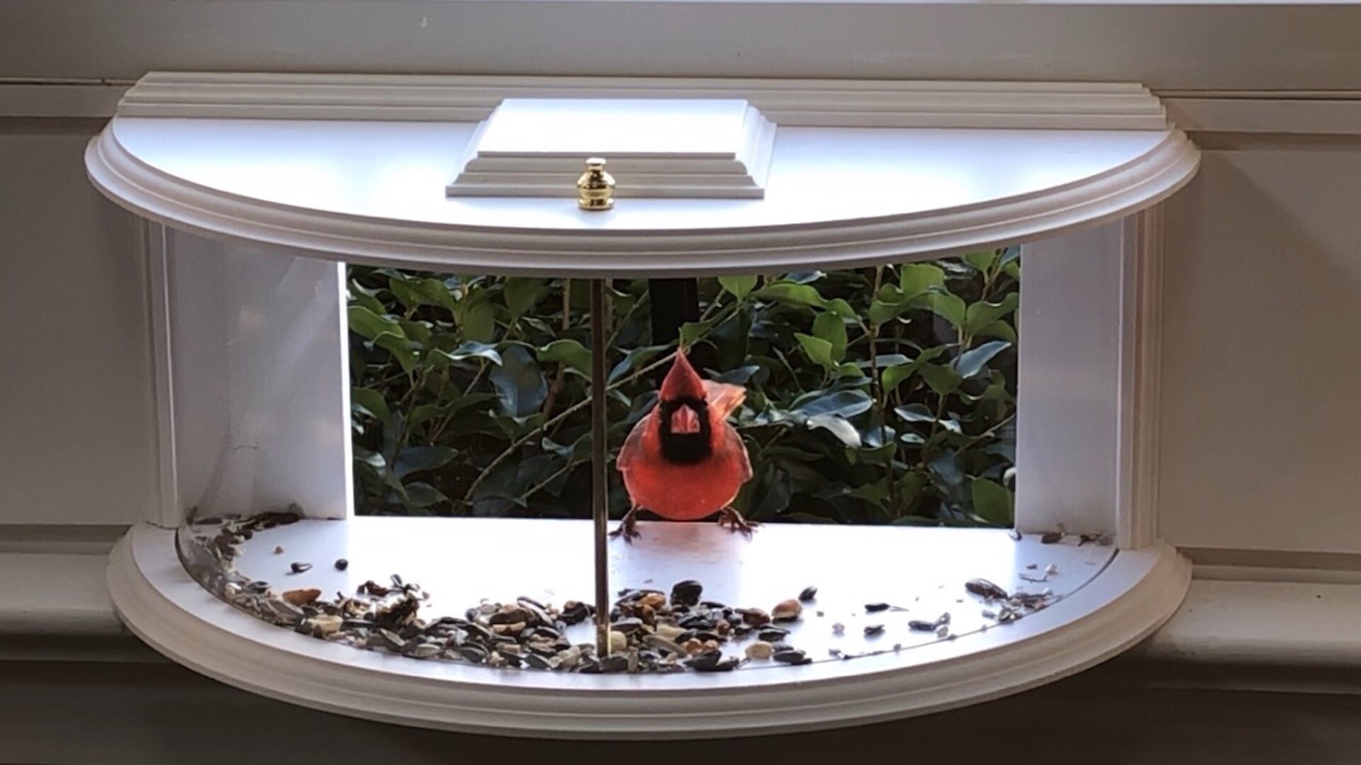Window Bird Feeder with Strong Suction Cups - (Upgraded 2024 Version) Bird  House Window Bird Feeders for Viewing Squirrel Proof Clear Window Bird