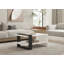 Table basse moderne à 2 niveaux, anthracite et blanc, 31,5 po x 13,8 po x 19,7 po | 100% panneau de particules enduit de mélamine, épaisseur: 0,7 pouce | Conception élégante et fonctionnelle avec rangement supplémentaire | Parfait pour le salon et les espaces contemporains-2052297150
