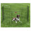 Enclos pour chien d’exercice éternel-5056280