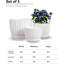 Ceramic Planter