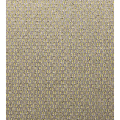 Lumni Fabric