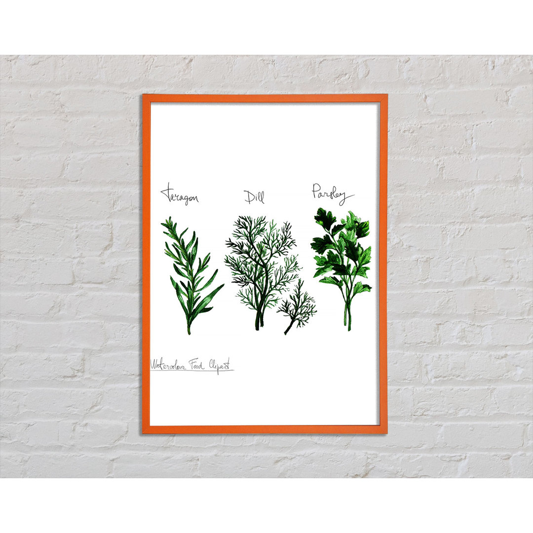 Boxton Herb Selection 1 - Einzelner Bilderrahmen Kunstdrucke