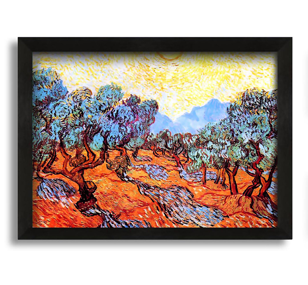 Gerahmtes Leinwandbild Olive Grove 1 von Vincent Van Gogh