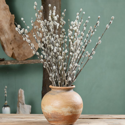 20 branches préservées de saule séché avec des fleurs blanches, des tiges florales naturelles pour les arrangements de vase et la décoration intérieure