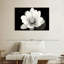 Fleur de lotus Harnek II-107720977