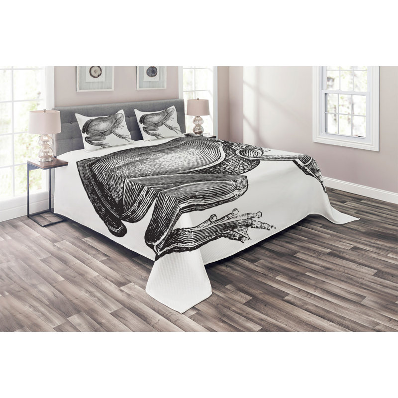 Coverlet