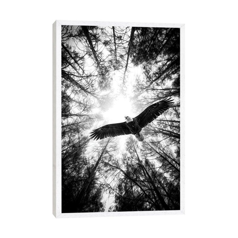 Master Of Heaven Bold Eagle B&W by Nik Rave - Print on Canvas, 66.04cm H x 45.72cm W x 3.81cm D, White Framed