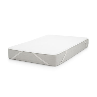 Symple Stuff Mattress Protector Mattress