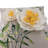 Cotton Pillow Cover