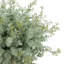 Arrangements floraux mixtes dans un vase