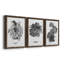 B&W d'intérieur plante I - ensemble de 3 peintures sur toile encadrées-2044643274-2044643285