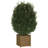 Wood Pot Planter-91895510-91895511