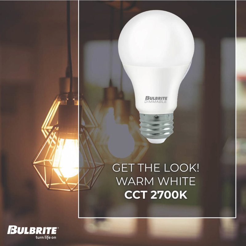 Ampoule A19 8,5 watts non-à intensité variable avec finition givrée et culot moyen E26, 750 lumens Bulbrite