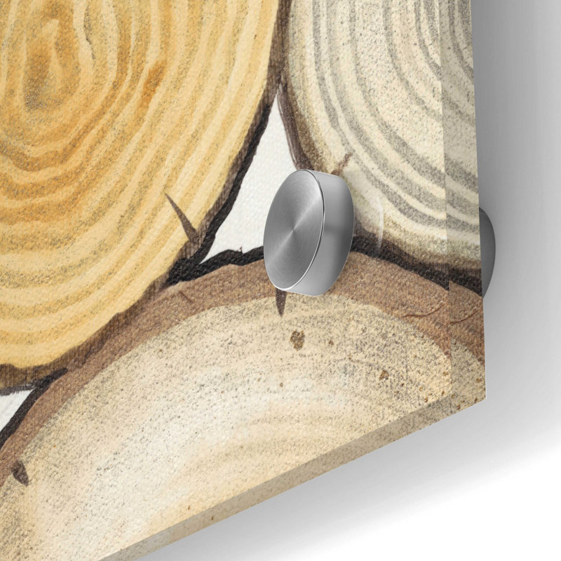«Tree Ring Study II» par Tim O'Toole, art mural en verre acrylique, H 36 po x l 24 po x P 0,2 po
