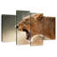 Lionne majestueuse-1368229369