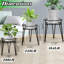 Plant Stand - Set of 3