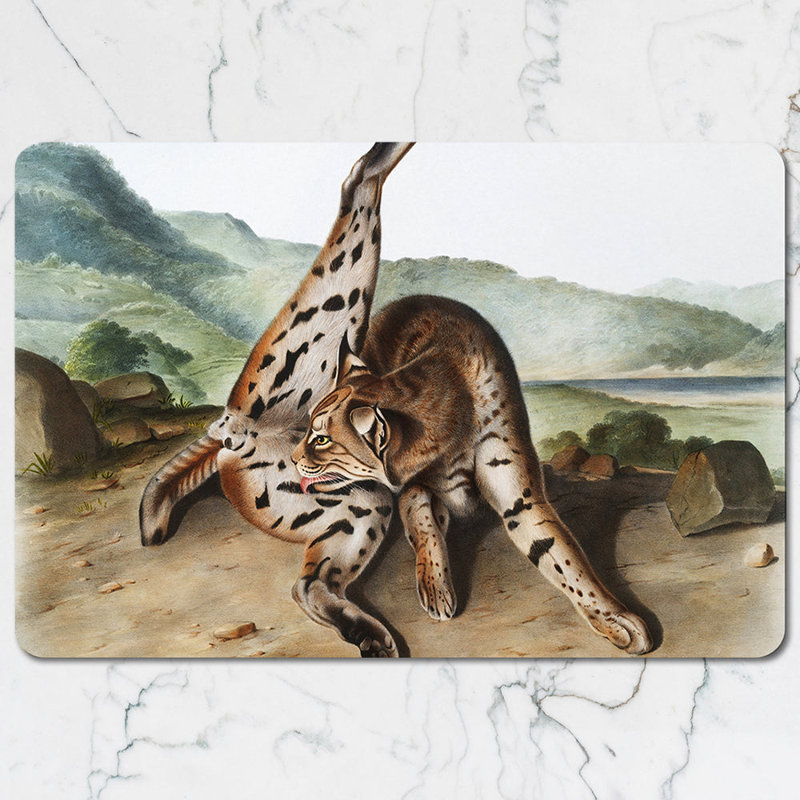 Leopard Pattern Placemat And Coaster Set For Dining Table