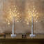 Bouleau illuminé pour décoration de Noël, décorations de table d'intérieur, 2 paquets de 24 arbres artificiels de table à piles / USB à DEL avec lumières pour le centre de la cheminée (2 pi / blanc chaud)