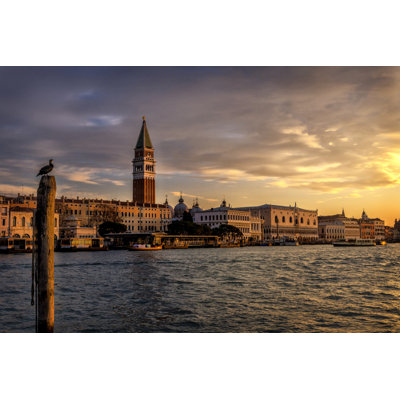 Bird's View by Danny Head - Wrapped Canvas Print