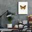 «Yellow Butterfly» par Graphinc, impression non encadrée-702599989