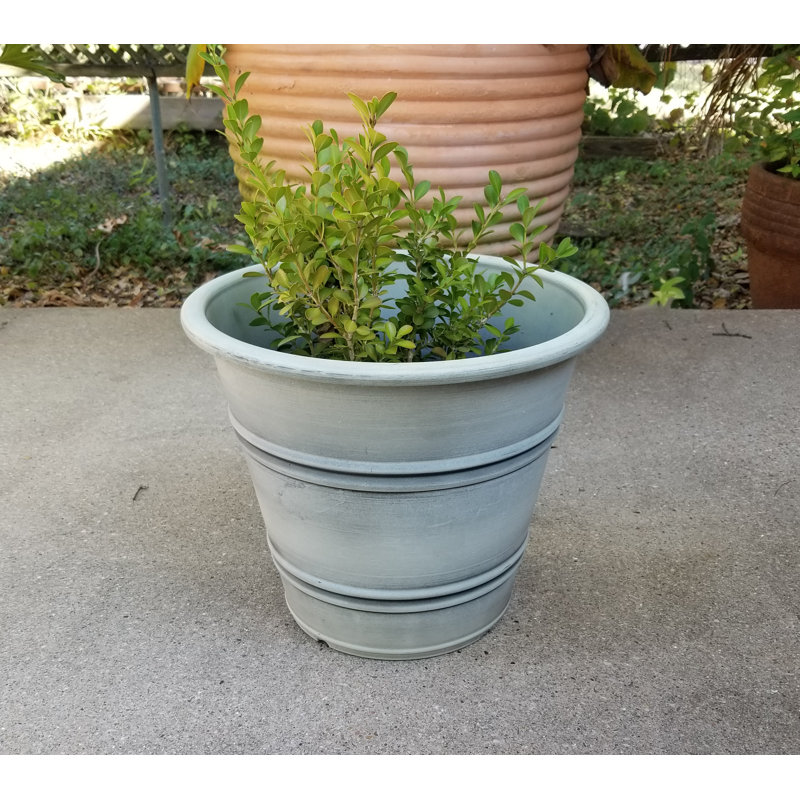 Geiser Pot Planter