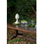 Dining Table-1586247397
