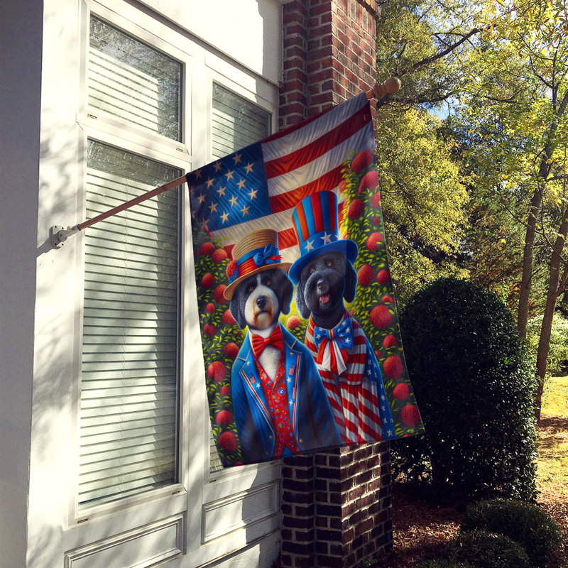 Drapeau «All American House», Chien d'eau portugais