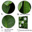 Emerald Exotic Embrace Palmscape sur toile-97027014-97027015